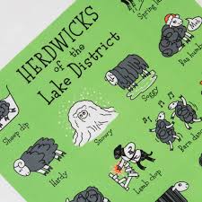 Herdwicks of the Lake District Tea Towel